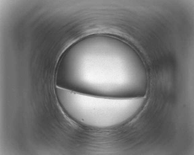 X0000067371513200603310941