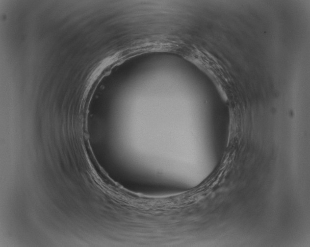 X0000067370003200603311157