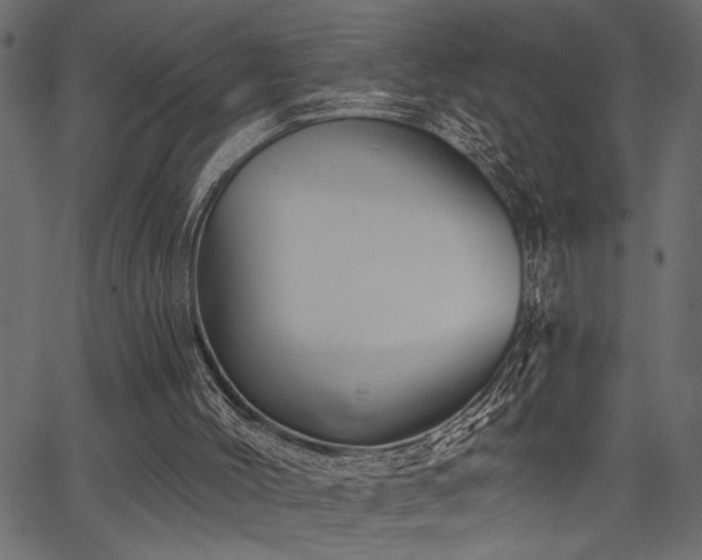 X0000067370004200603311157