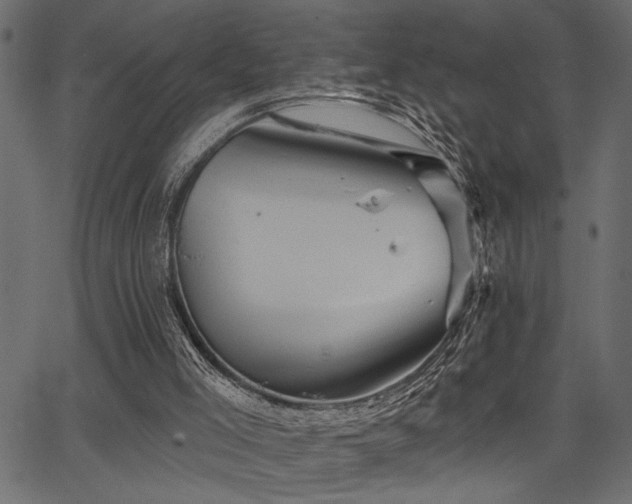 X0000067370005200603311157