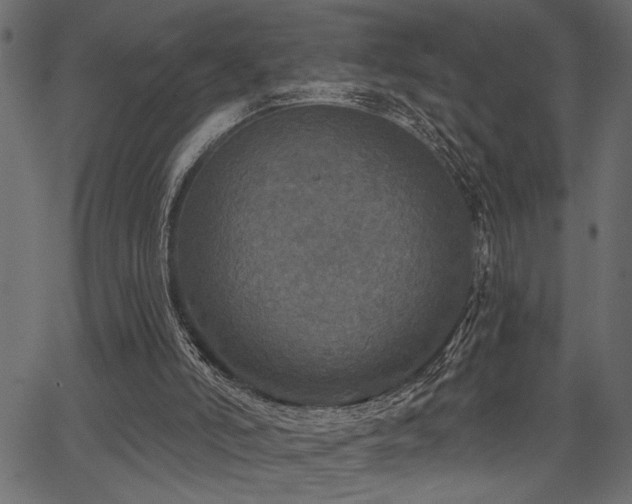 X0000067370006200603311157