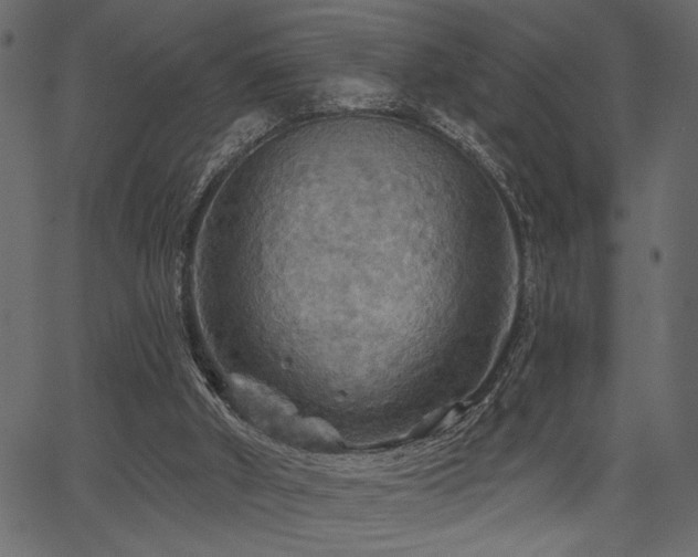 X0000067370010200603311157