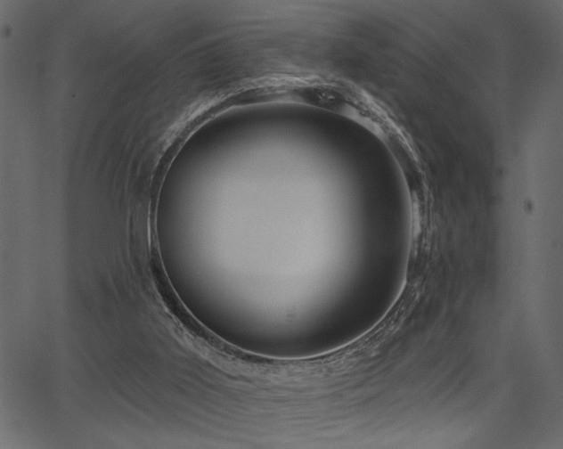 X0000067370011200603311157