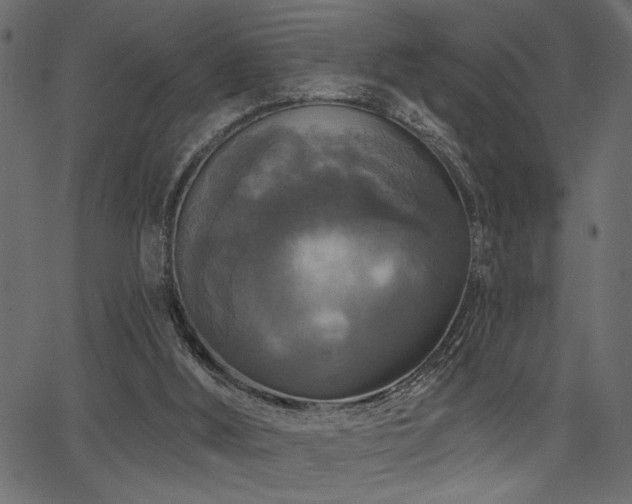 X0000067370012200603311157