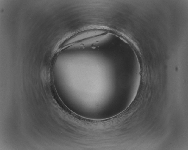X0000067370015200603311157