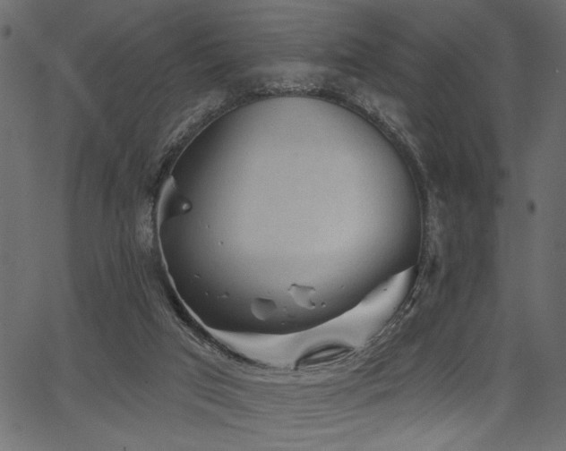 X0000067370017200603311157
