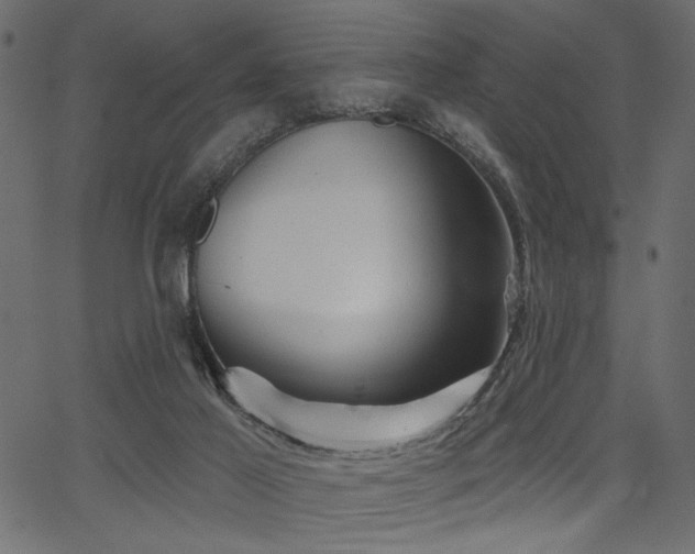 X0000067370021200603311157