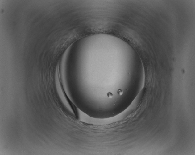 X0000067370025200603311157