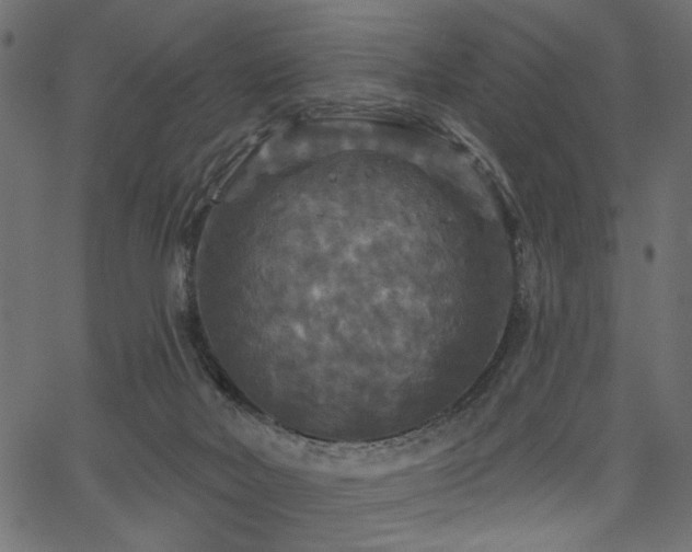 X0000067370026200603311156