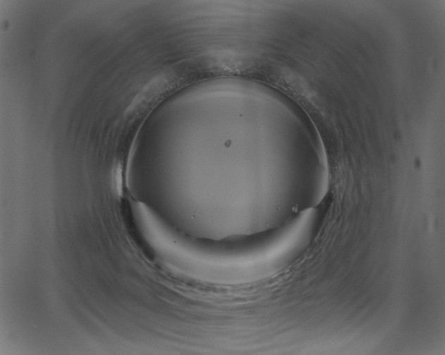 X0000067370027200603311156