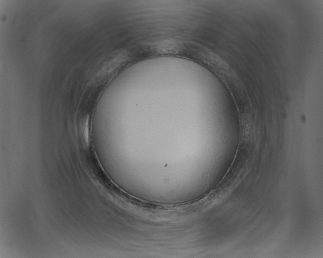 X0000067370028200603311156