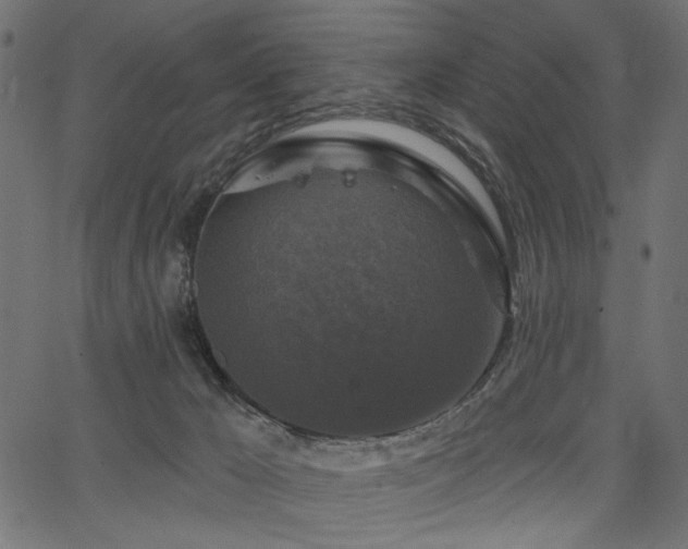 X0000067370029200603311156