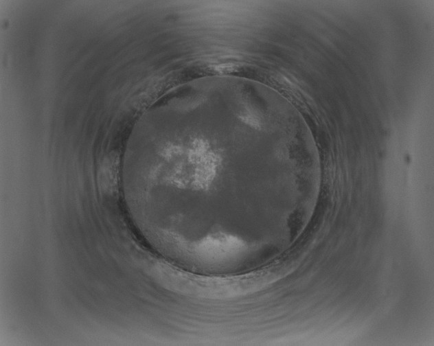 X0000067370030200603311156
