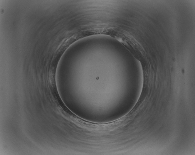 X0000067370035200603311156