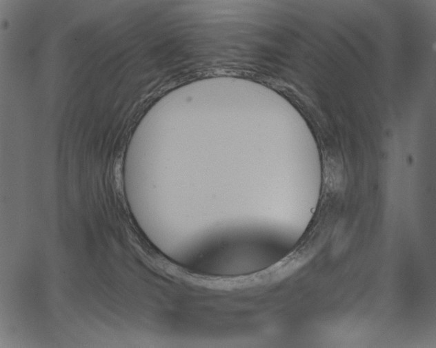 X0000067370036200603311156