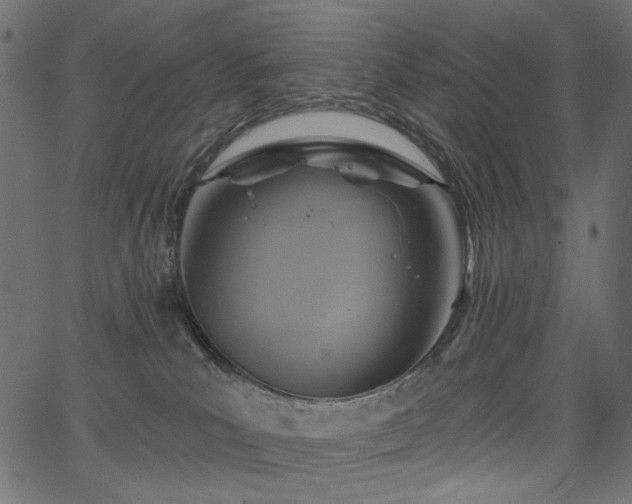X0000067370039200603311156
