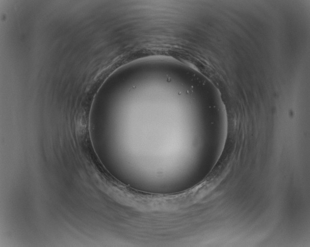 X0000067370040200603311156