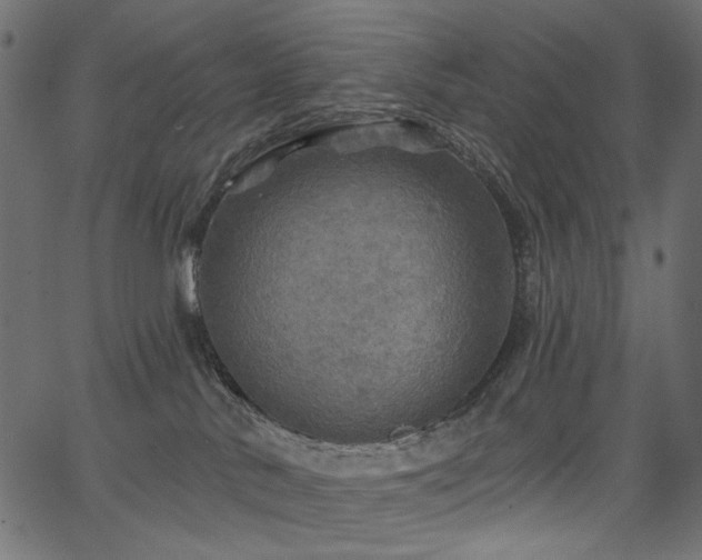 X0000067370042200603311156