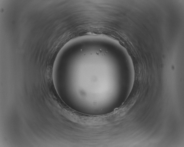 X0000067370044200603311156
