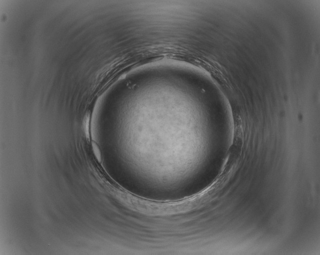 X0000067370047200603311156