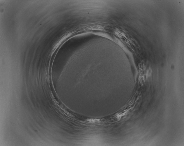 X0000067370052200603311155
