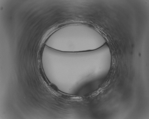 X0000067370053200603311155