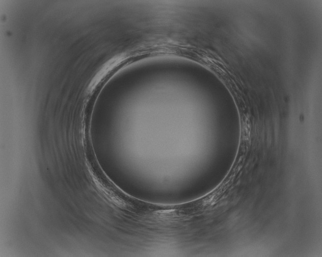 X0000067370054200603311155
