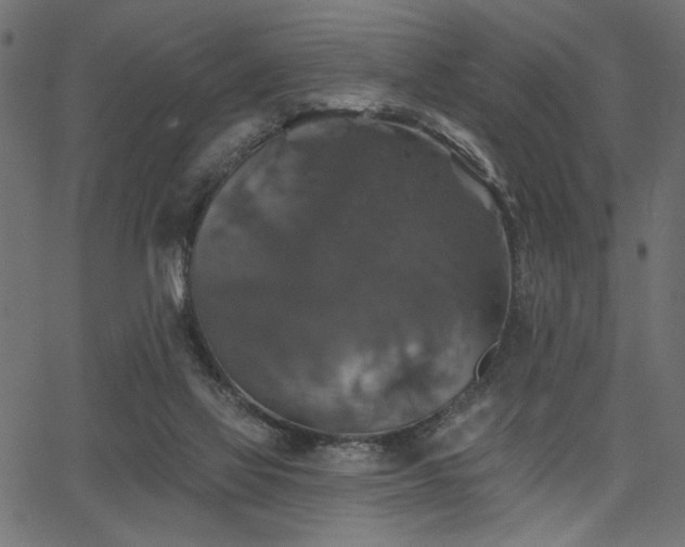 X0000067370069200603311156