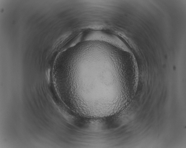 X0000067370070200603311156
