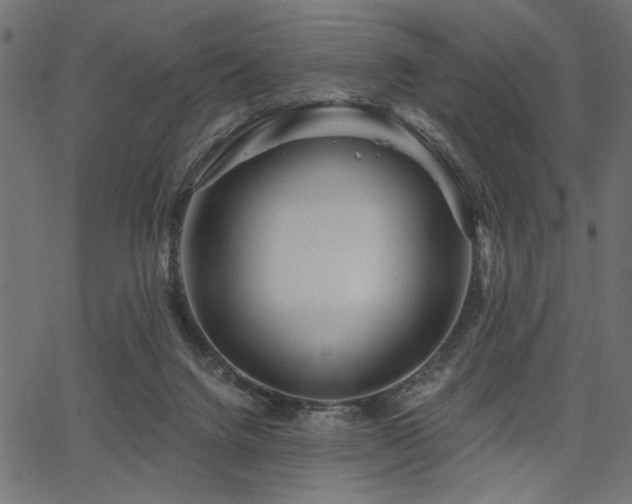 X0000067370072200603311156