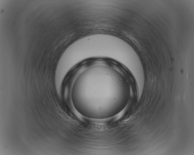 X0000067370077200603311156