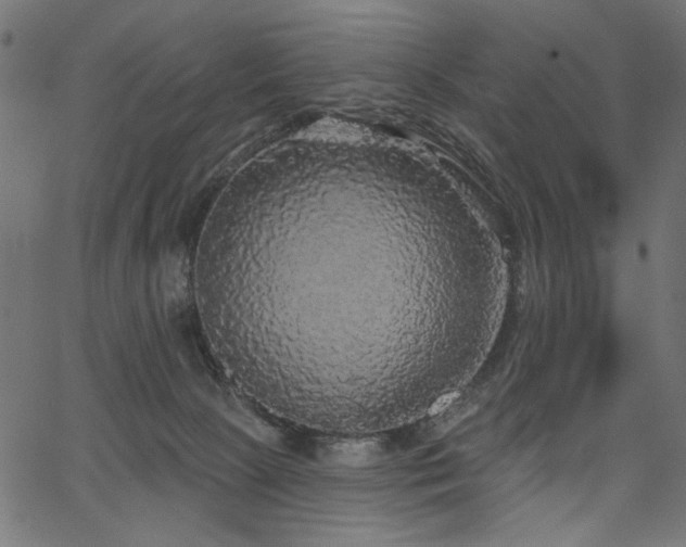 X0000067370081200603311156