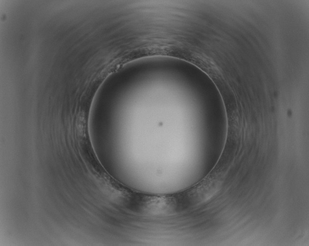 X0000067370083200603311156