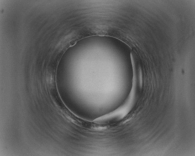 X0000067370084200603311156