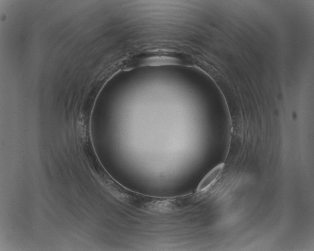 X0000067370086200603311156