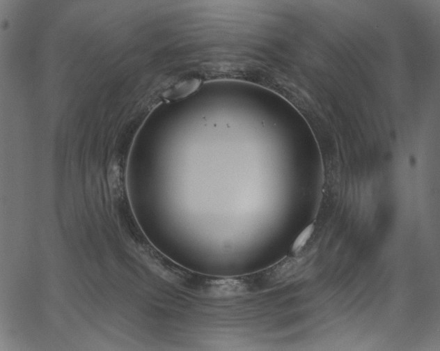 X0000067370087200603311156