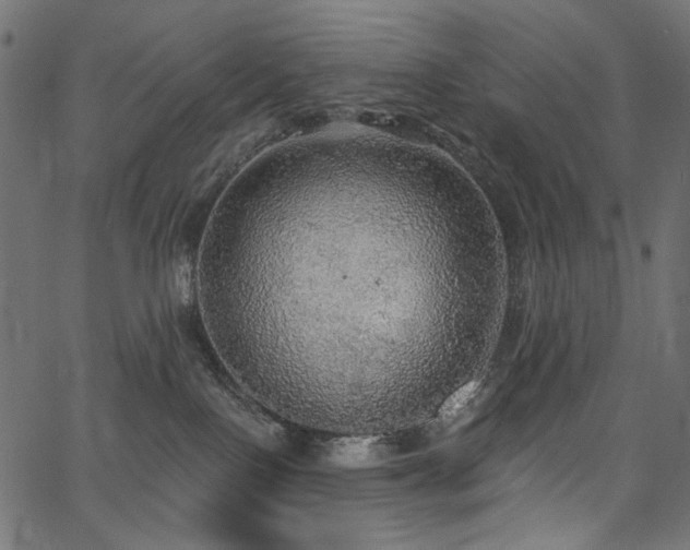 X0000067370090200603311156