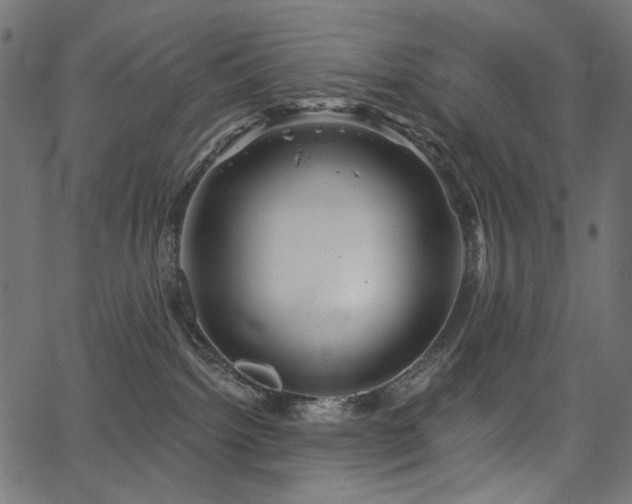 X0000067370092200603311156