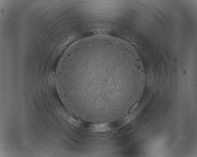 X0000067370093200603311156