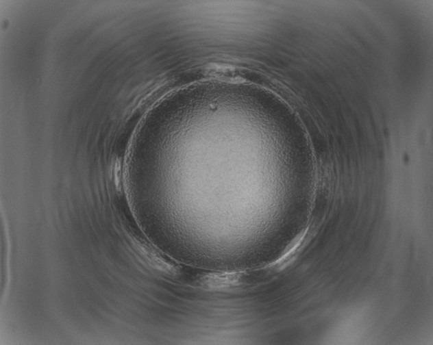 X0000067370094200603311156