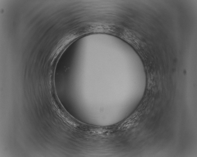 X0000067370098200603311155