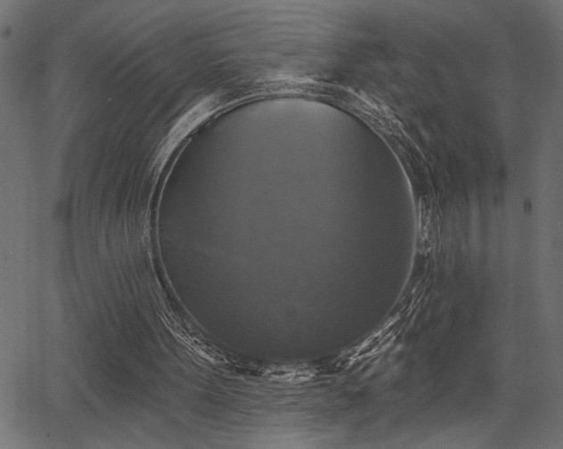 X0000067370099200603311155