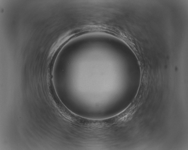 X0000067370103200603311155