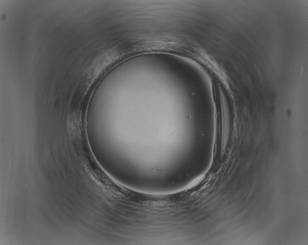 X0000067370107200603311155