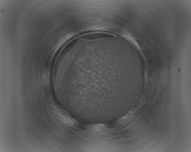 X0000067370108200603311155