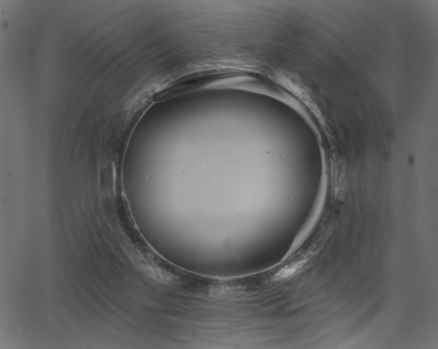 X0000067370109200603311155