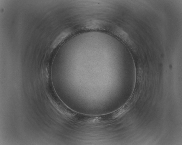 X0000067370116200603311155