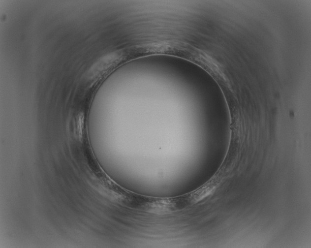 X0000067370118200603311155