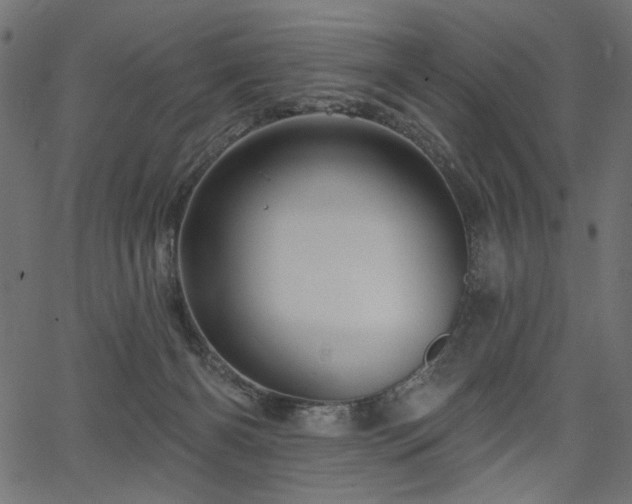 X0000067370126200603311155
