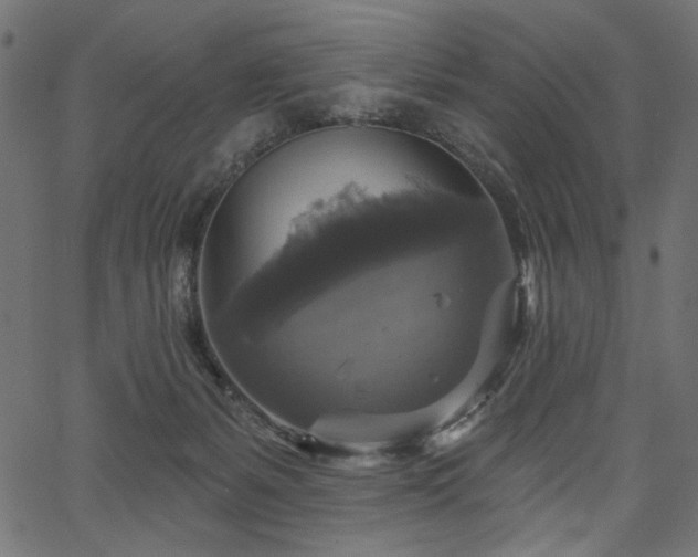 X0000067370127200603311155
